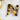 Nordik Beauty Personalized Tortoise shell Initial Hair Clip - N image 1