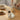 Kitchen Kult Pot Lid Holder and Utensil Rest image 3