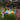 Bum Bum Baby Multicoloured Kids Play Parachute for Group Educational Play image 1