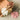 Bum Bum Baby Soft Multi Colour Grosgrain Hair Bows (Pack of 5) image 3